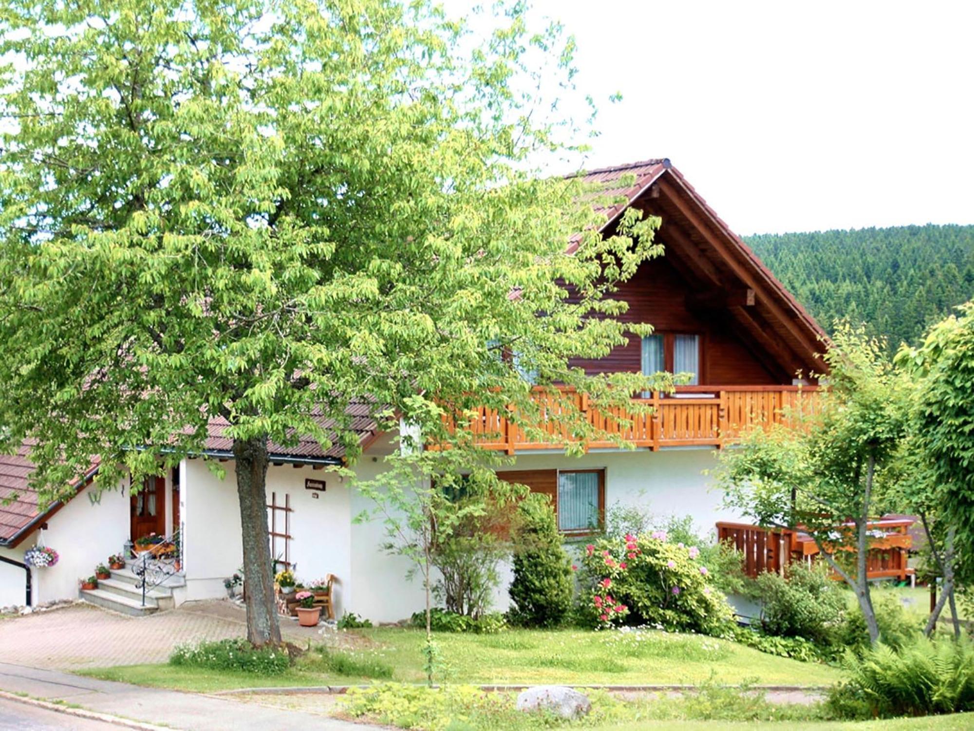 Апартаменты Haus Doerflinger Frau Marianne Шлухзее Экстерьер фото